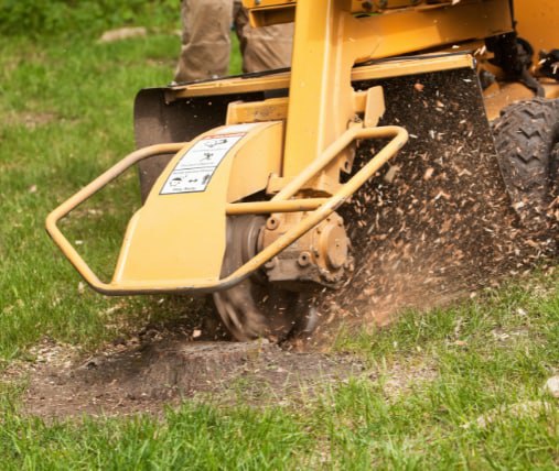 This is a photo of stump grinding being carried out in Sheppey. All works are being undertaken by Sheppey Tree Surgeons